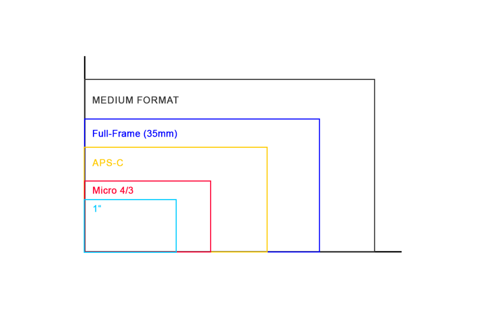 Comparison of various camera sensor sizes, including full-frame, APS-C, Micro Four Thirds, 1-inch, and medium format, arranged side by side for easy visual reference.